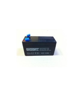 Batteries 12 volts pour portail électrique