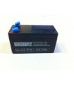 Batteries 12 volts pour portail électrique