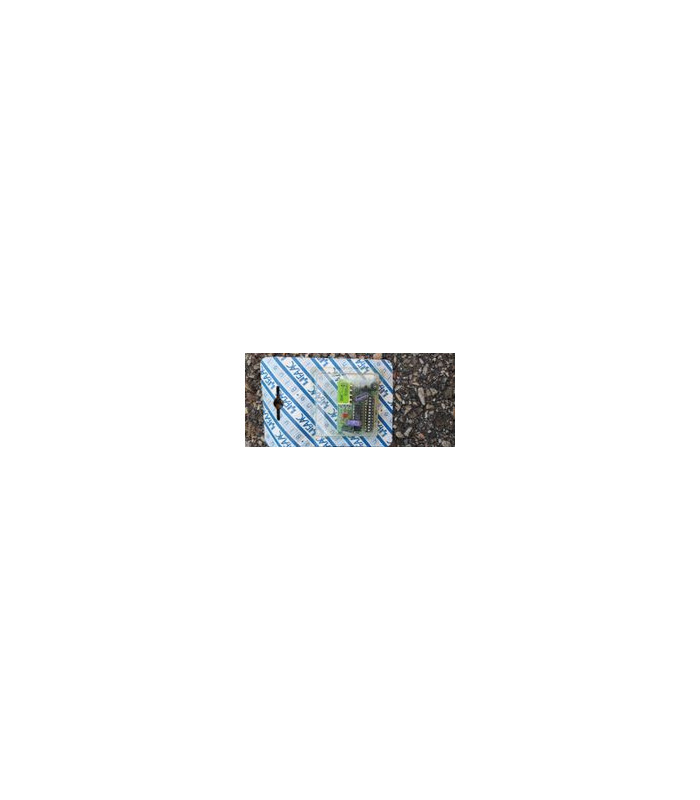 FAAC Minidec DS 433 (platine électronique)